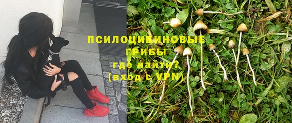 бошки Зерноград