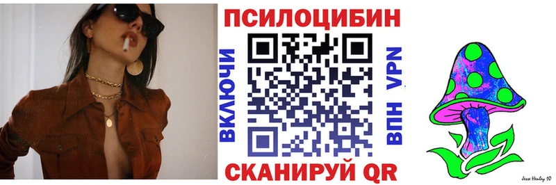 Галлюциногенные грибы ЛСД  Купить закладки  Мончегорск 